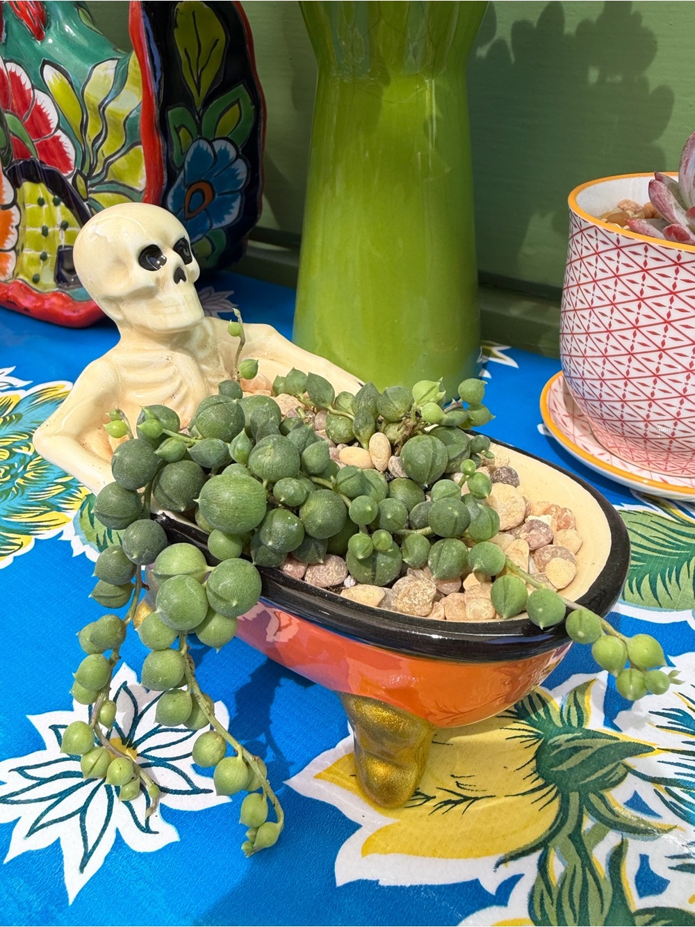 Ceramic Orange & Cream Skeleton Bathtub Planter with String of Pearls Plant